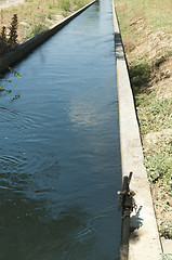 Image showing Irrigation canal