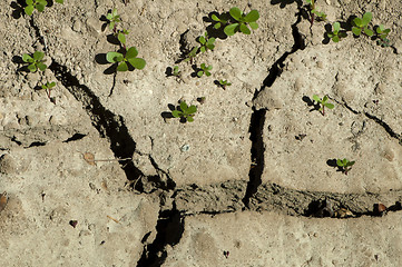 Image showing Land parched land