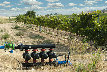 Image showing Water pumps for irrigation of vineyards