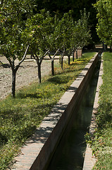 Image showing Irrigation canal