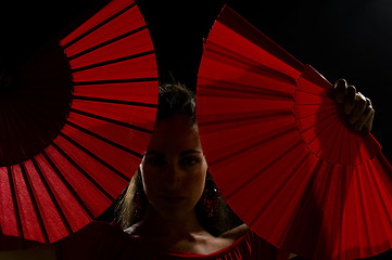 Image showing Sensual flamenco