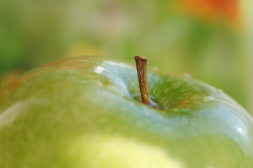 Image showing Apple