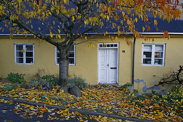 Image showing Autumn cottage