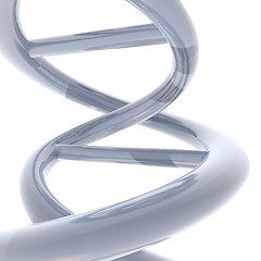 Image showing macro dna