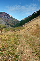 Image showing touristic track to Padinei gorges