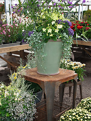 Image showing Colorful flowers and plants in a greenhouse