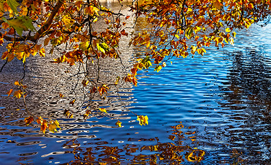 Image showing Canal in Autumn