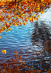 Image showing Canal in Autumn