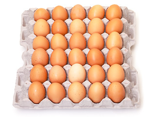 Image showing Fresh Brown Eggs in Carton