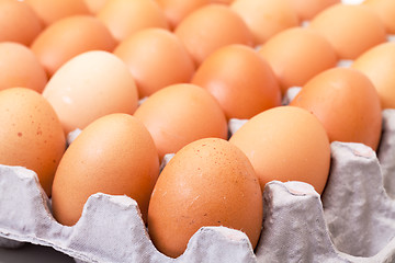 Image showing Fresh Brown Eggs in Carton