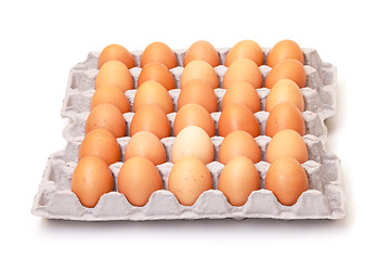 Image showing Fresh Brown Eggs in Carton