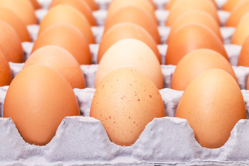 Image showing Fresh Brown Eggs in Carton