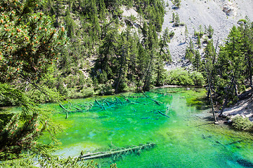 Image showing Green Lake