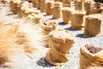 Image showing Ripe Summer Wheat