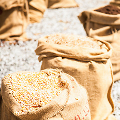 Image showing Ripe Summer Wheat