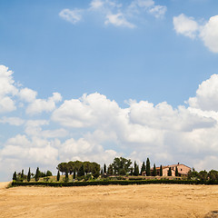 Image showing Country in Tuscany