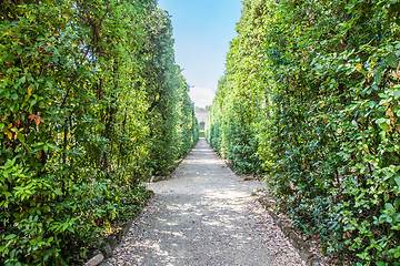 Image showing Boboli Gardens