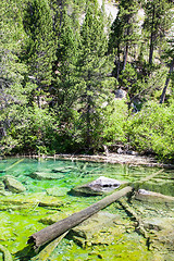 Image showing Green Lake