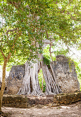 Image showing Gede Ruins