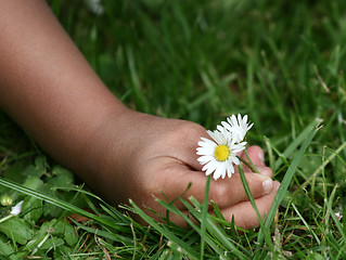 Image showing flower child