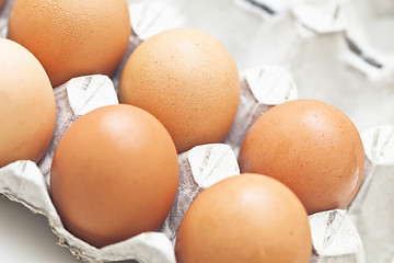 Image showing Eggs in a box