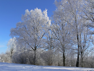 Image showing Winter scenery