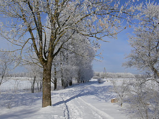 Image showing Winter road