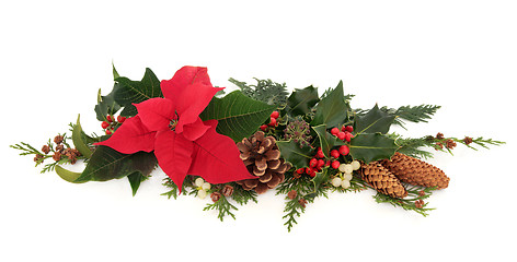 Image showing Poinsettia Flower Decoration