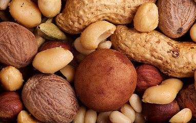 Image showing Various Nuts Background