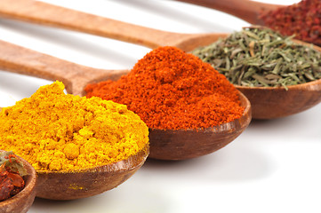 Image showing Spices