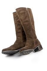 Image showing Brown Female Boots