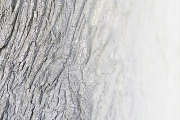 Image showing Texture