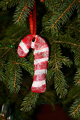 Image showing Candy Cane