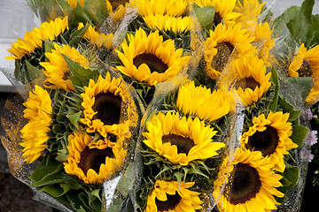 Image showing Yellow Flower