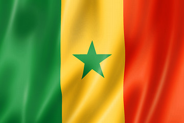 Image showing Senegalese flag
