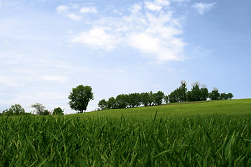 Image showing Quiet Spring landscape