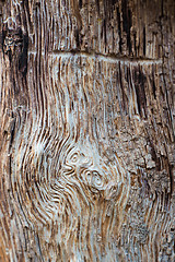 Image showing Dark Wood Background