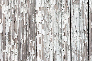 Image showing grungy white background of natural wood