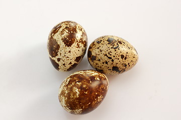 Image showing three eggs