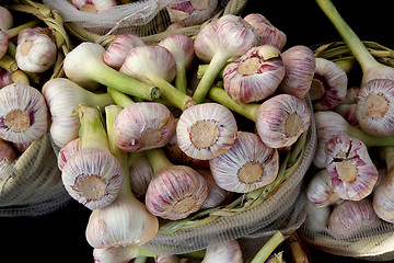 Image showing fresch garlic from the farm 