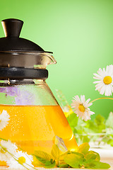 Image showing chamomile tea