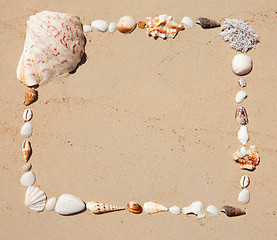 Image showing Seashells  picture frame