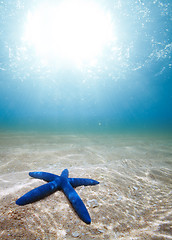 Image showing Starfish deep underwater