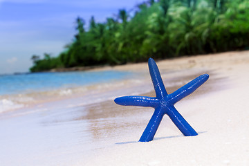 Image showing blue starfish on white sand beach