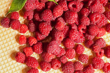 Image showing raspberries on crispy gold waffle