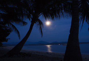 Image showing Moonlight on the water