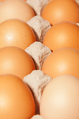 Image showing egg box close up