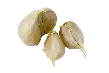 Image showing Cloves of garlic

