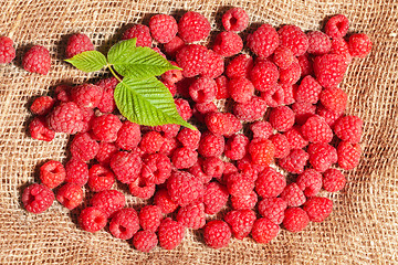 Image showing ripe raspberries on sack fabric