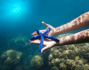 Image showing hands holding big blue starfish